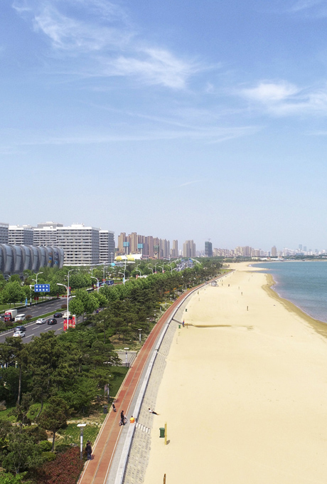 西海岸新区